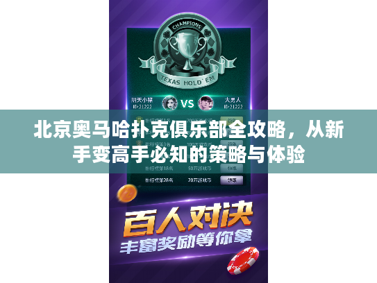 北京奥马哈扑克俱乐部全攻略，从新手变高手必知的策略与体验