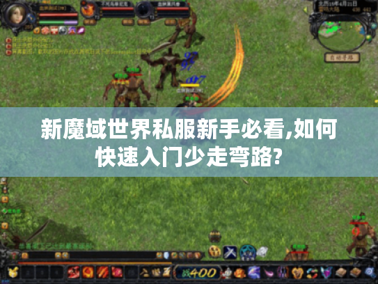 新魔域世界私服新手必看,如何快速入门少走弯路? 新魔域世界私服新手必看,如何快速入门少走弯路?