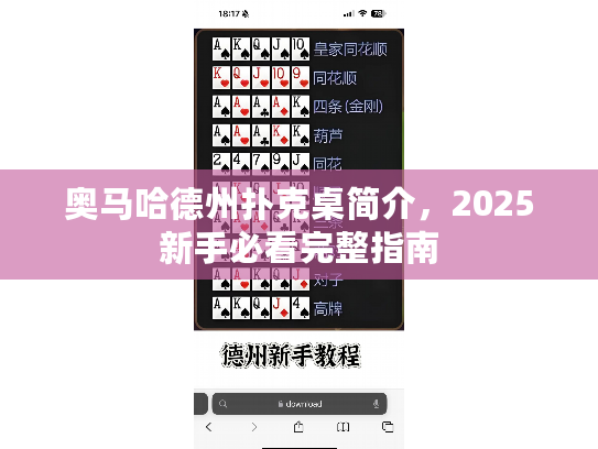 奥马哈德州扑克桌简介,2025新手必看完整指南 奥马哈德州扑克桌简介,2025新手必看完整指南