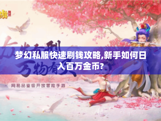 梦幻私服快速刷钱攻略,新手如何日入百万金币?
