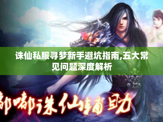 诛仙私服寻梦新手避坑指南,五大常见问题深度解析