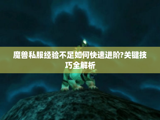 魔兽私服经验不足如何快速进阶?关键技巧全解析