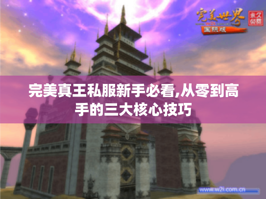 完美真王私服新手必看,从零到高手的三大核心技巧
