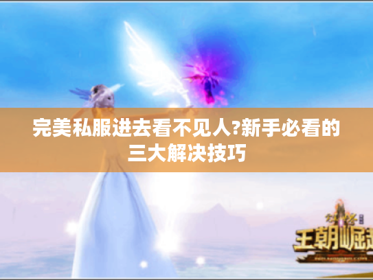 完美私服进去看不见人?新手必看的三大解决技巧