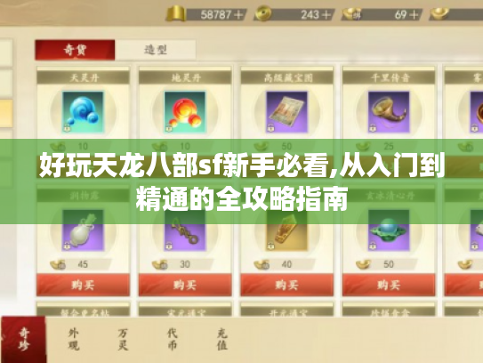 好玩天龙八部sf新手必看,从入门到精通的全攻略指南