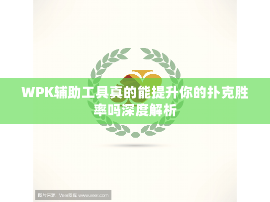 WPK辅助工具真的能提升你的扑克胜率吗深度解析