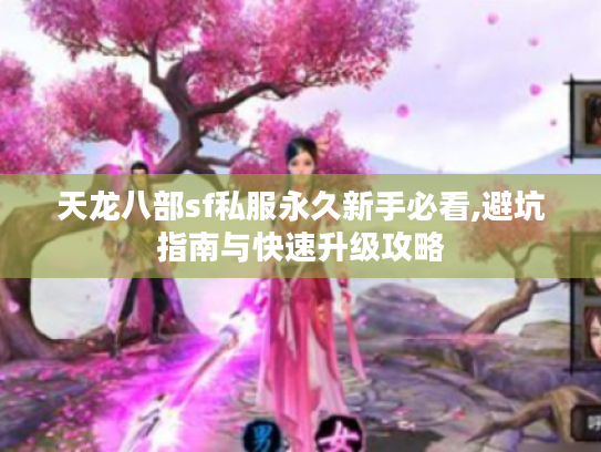天龙八部sf私服永久新手必看,避坑指南与快速升级攻略
