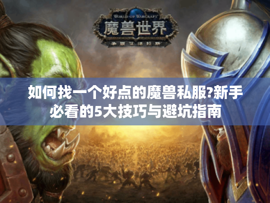 如何找一个好点的魔兽私服?新手必看的5大技巧与避坑指南