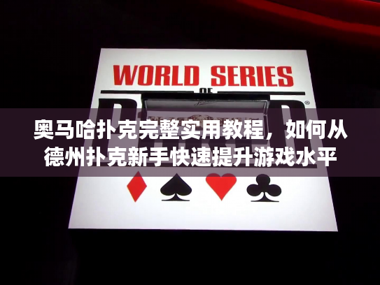 奥马哈扑克完整实用教程，如何从德州扑克新手快速提升游戏水平