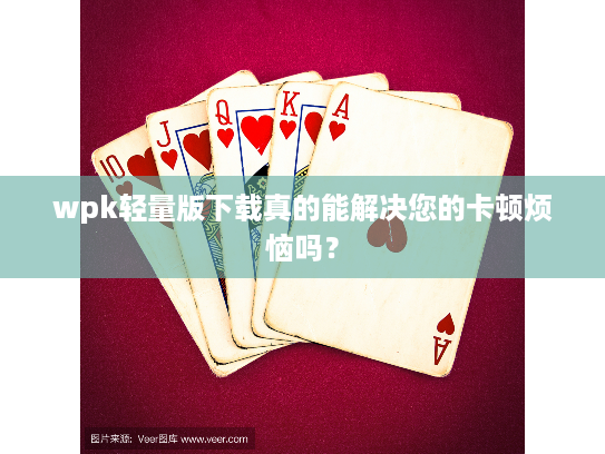 wpk轻量版下载真的能解决您的卡顿烦恼吗？