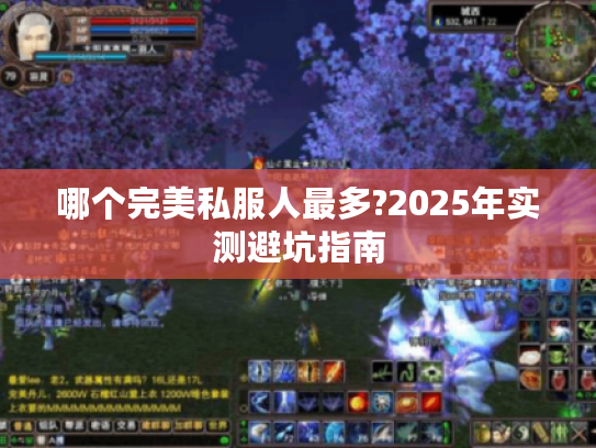 哪个完美私服人最多?2025年实测避坑指南 哪个完美私服人最多?2025年实测避坑指南