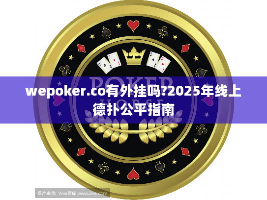 wepoker.co有外挂吗?2025年线上德扑公平指南