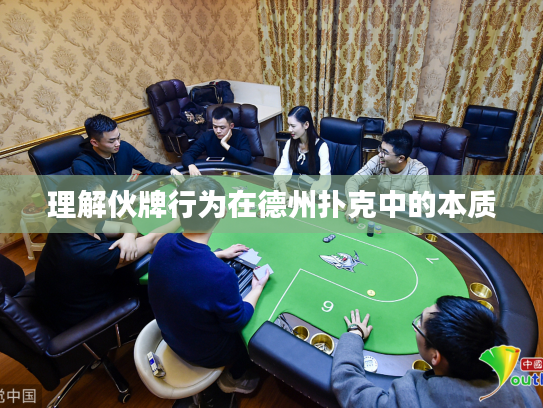 理解伙牌行为在德州扑克中的本质