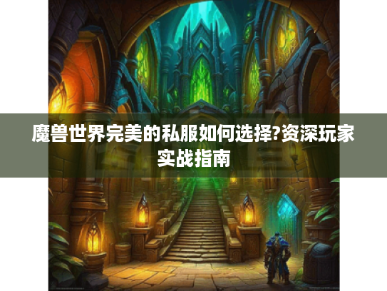 魔兽世界完美的私服如何选择?资深玩家实战指南