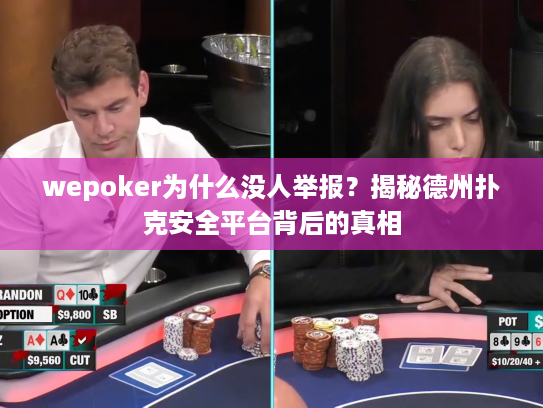 wepoker为什么没人举报？揭秘德州扑克安全平台背后的真相