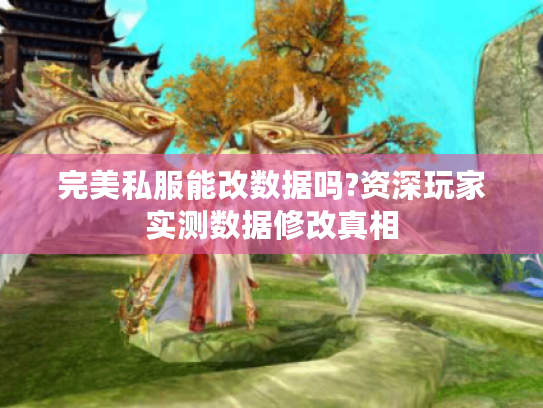 完美私服能改数据吗?资深玩家实测数据修改真相