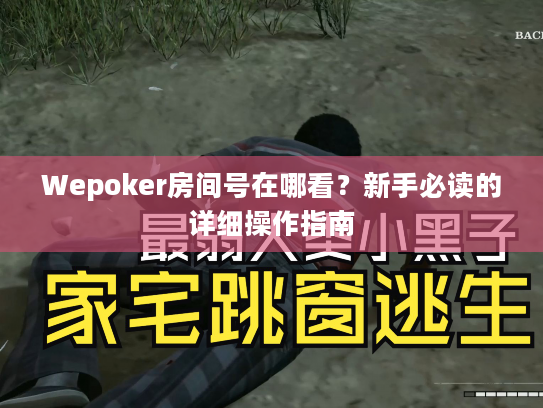 Wepoker房间号在哪看?新手必读的详细操作指南 Wepoker房间号在哪看?新手必读的详细操作指南