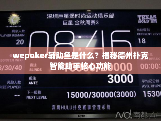 wepoker辅助鱼是什么？揭秘德州扑克智能助手核心功能