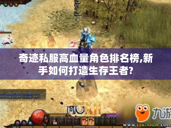 奇迹私服高血量角色排名榜,新手如何打造生存王者?