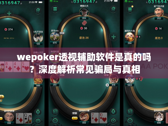 wepoker透视辅助软件是真的吗?深度解析常见骗局与真相 wepoker透视辅助软件是真的吗?深度解析常见骗局与真相