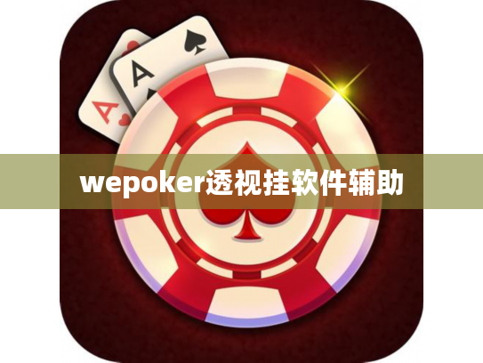 wepoker透视挂软件辅助