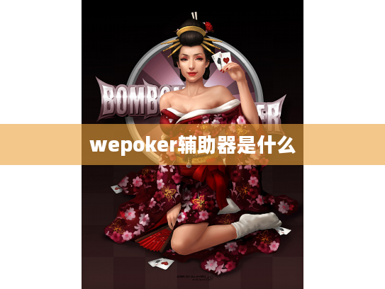 wepoker辅助器是什么 wepoker辅助器是什么