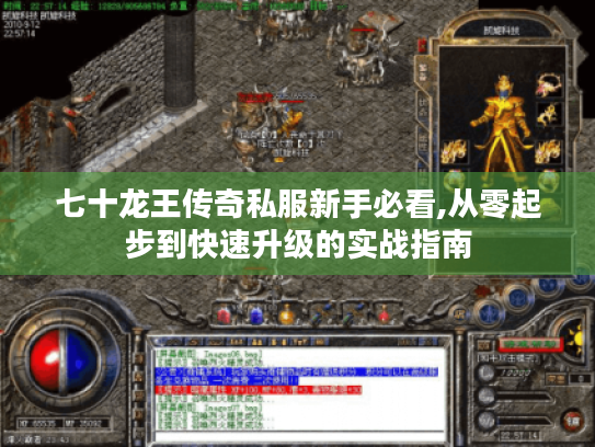 七十龙王传奇私服新手必看,从零起步到快速升级的实战指南