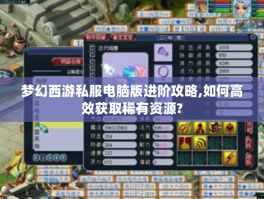 梦幻西游私服电脑版进阶攻略,如何高效获取稀有资源?