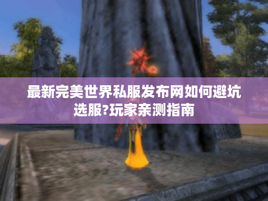 最新完美世界私服发布网如何避坑选服?玩家亲测指南