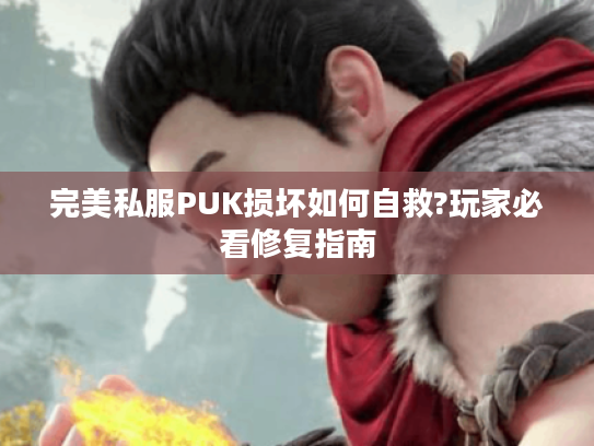 完美私服PUK损坏如何自救?玩家必看修复指南