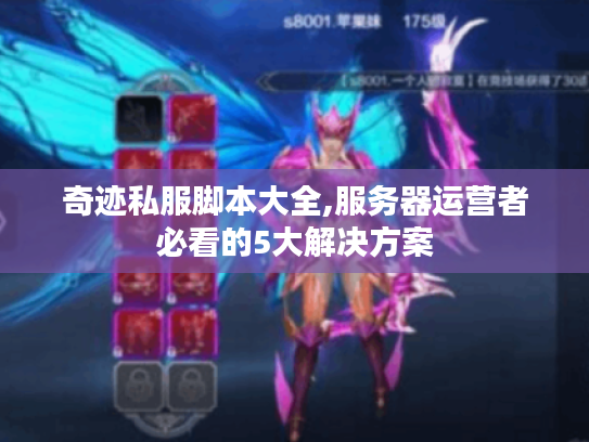 奇迹私服脚本大全,服务器运营者必看的5大解决方案 奇迹私服脚本大全,服务器运营者必看的5大解决方案