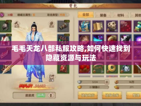 毛毛天龙八部私服攻略,如何快速找到隐藏资源与玩法