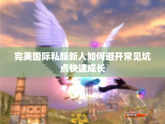 完美国际私服新人如何避开常见坑点快速成长 完美国际私服新人如何避开常见坑点快速成长