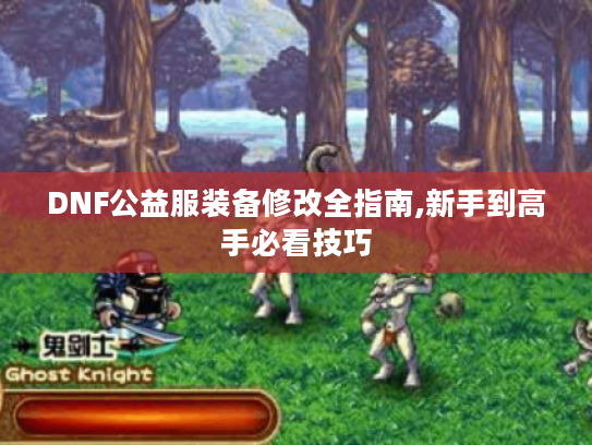 DNF公益服装备修改全指南,新手到高手必看技巧 DNF公益服装备修改全指南,新手到高手必看技巧