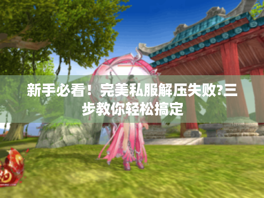 新手必看！完美私服解压失败?三步教你轻松搞定