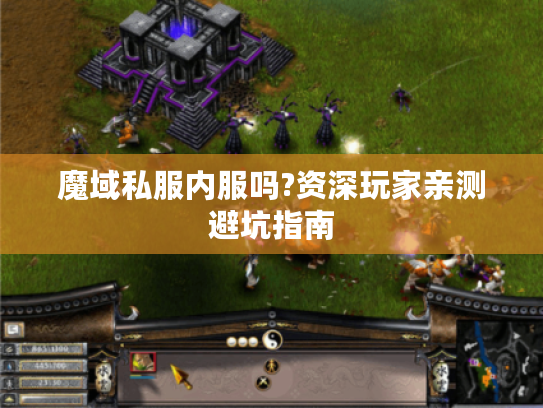 魔域私服内服吗?资深玩家亲测避坑指南