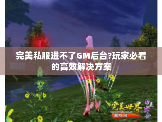 完美私服进不了GM后台?玩家必看的高效解决方案