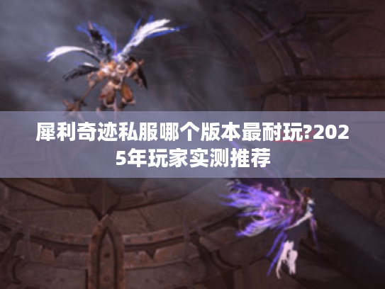 犀利奇迹私服哪个版本最耐玩?2025年玩家实测推荐