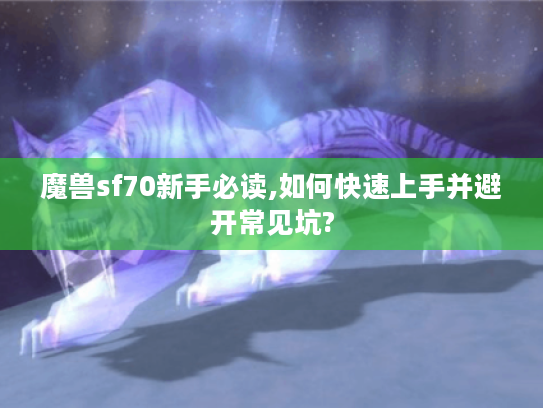 魔兽sf70新手必读,如何快速上手并避开常见坑?