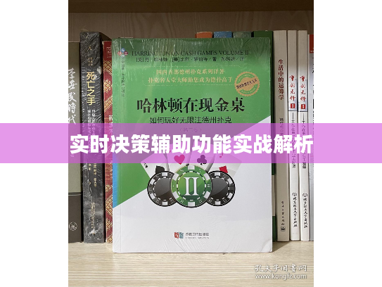 实时决策辅助功能实战解析