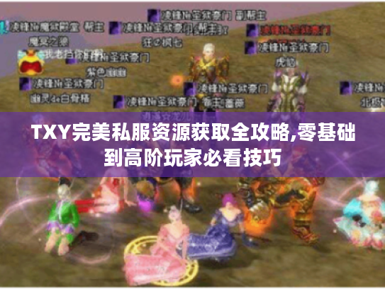TXY完美私服资源获取全攻略,零基础到高阶玩家必看技巧