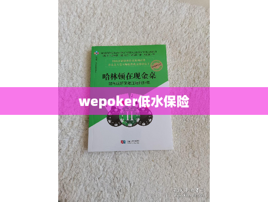 wepoker低水保险