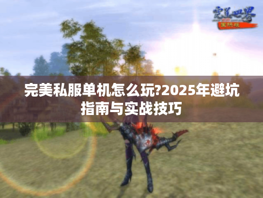 完美私服单机怎么玩?2025年避坑指南与实战技巧