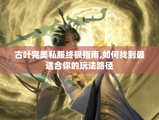 古叶完美私服终极指南,如何找到最适合你的玩法路径