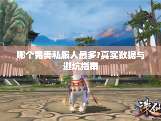 哪个完美私服人最多?真实数据与避坑指南