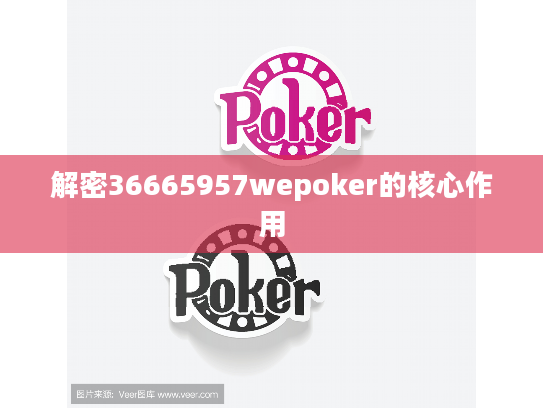 解密36665957wepoker的核心作用