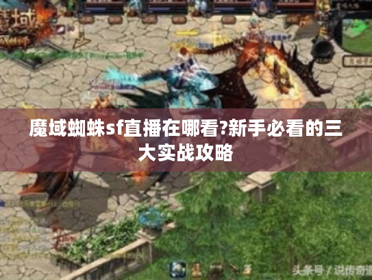 魔域蜘蛛sf直播在哪看?新手必看的三大实战攻略