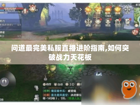 问道最完美私服直播进阶指南,如何突破战力天花板