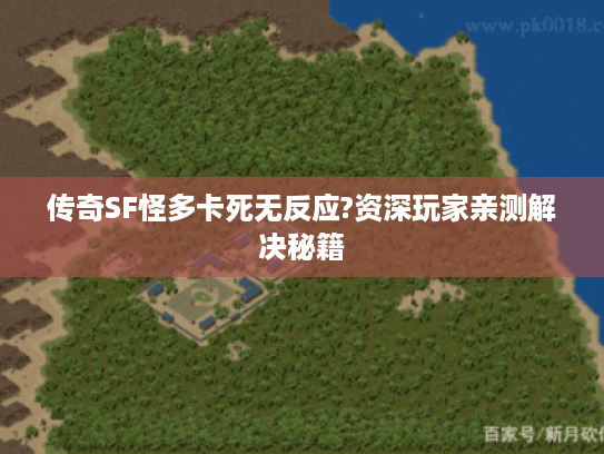 传奇SF怪多卡死无反应?资深玩家亲测解决秘籍