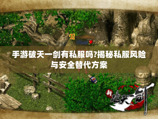 手游破天一剑有私服吗?揭秘私服风险与安全替代方案